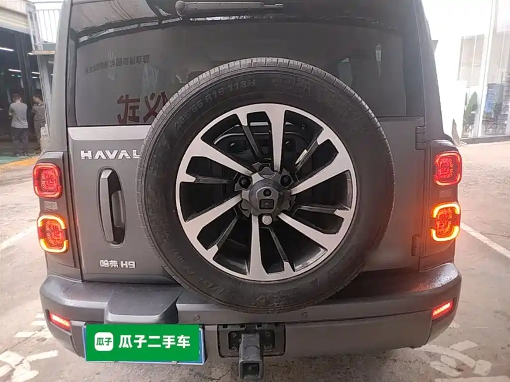 Haval H9 2024 2.0T Gasoline AWD Extreme Edition фото 6