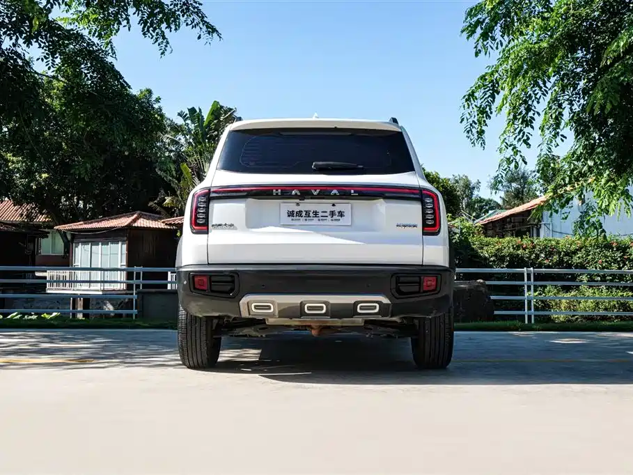 Haval Big Dog 2024 Model 1.5T DCT Labrador Edition фото 7