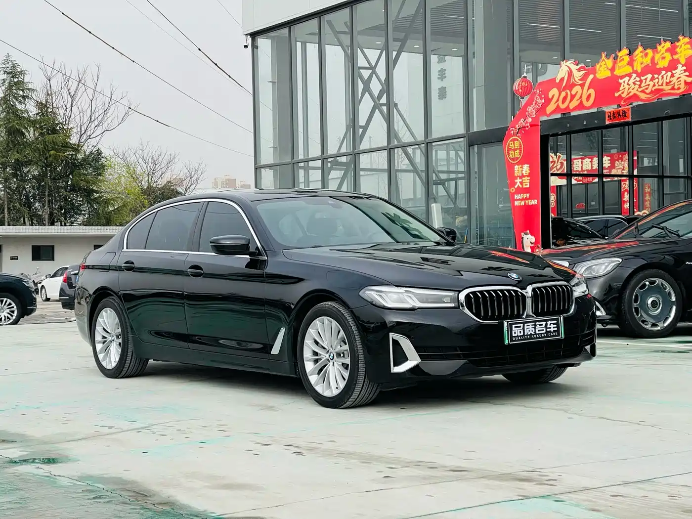 BMW 5 SERIES NEW ENERGY