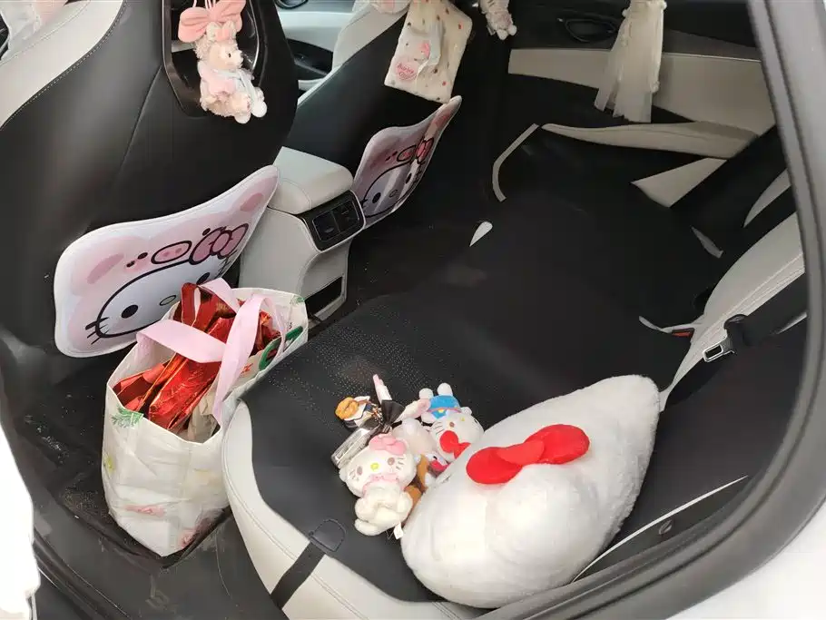 BYD Seal 06 New Energy 2024 DM-i 80KM Luxury фото 11