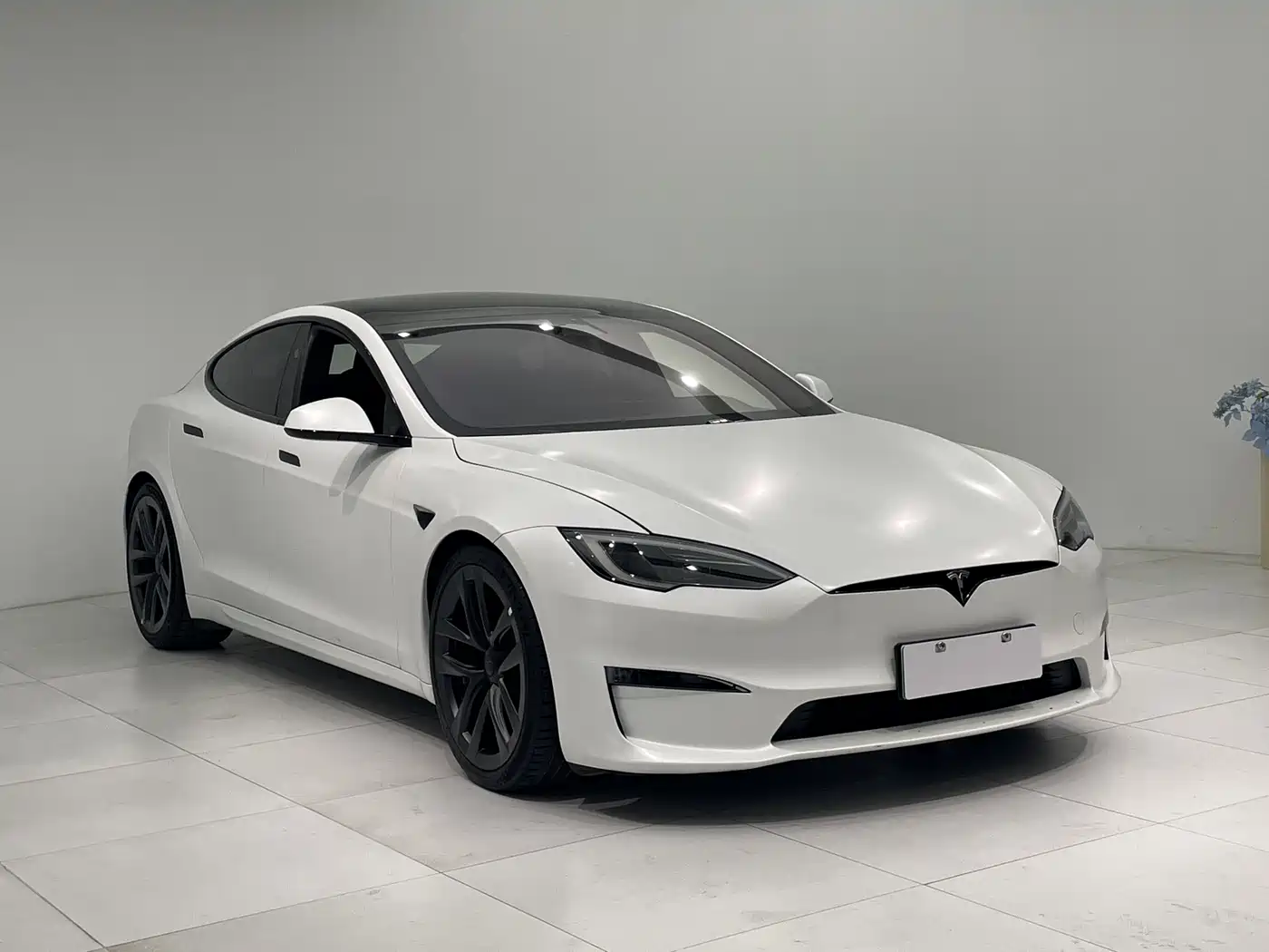 TESLA MODEL S