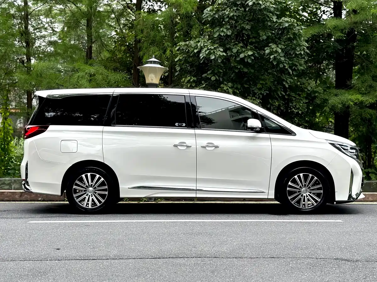 GAC Trumpchi Trumpchi M8 2021 Leading Show Series 390T Ultimate Edition фото 10