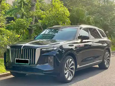 Hongqi E-HS9