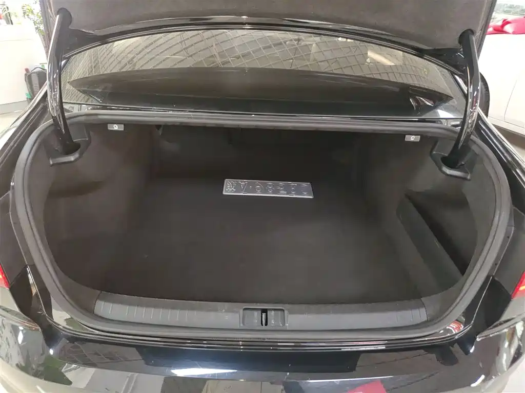 Volkswagen Magotan 2018 330TSI DSG Leading фото 14