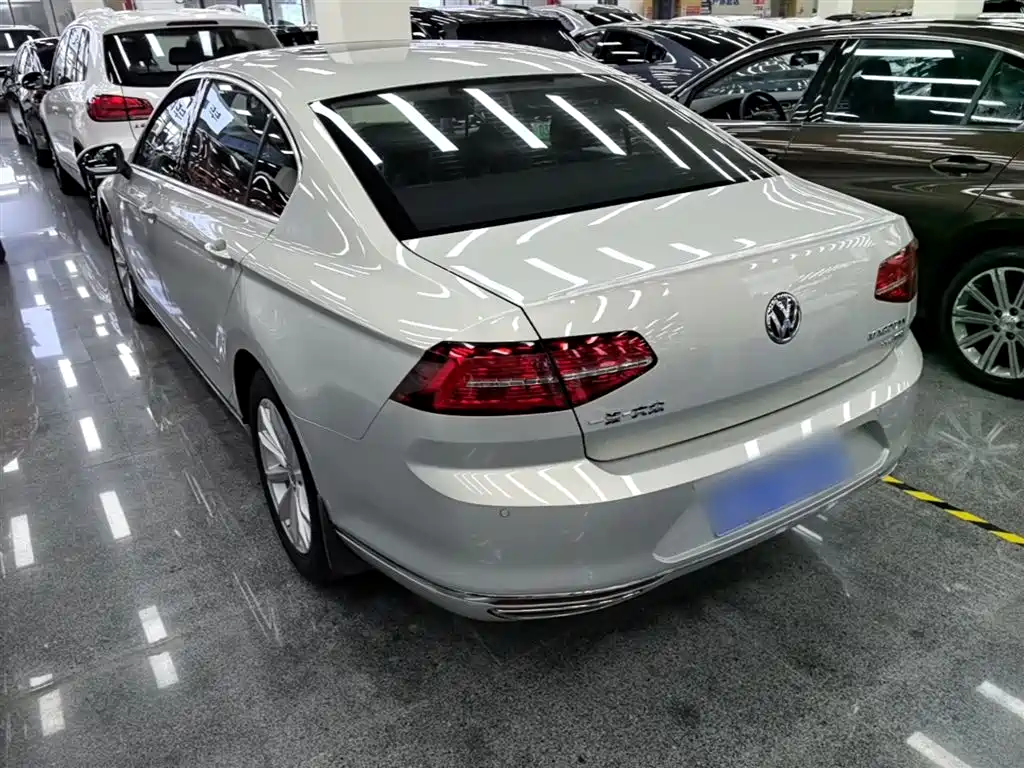 Volkswagen Magotan 2019 330TSI DSG Leading China V фото 5