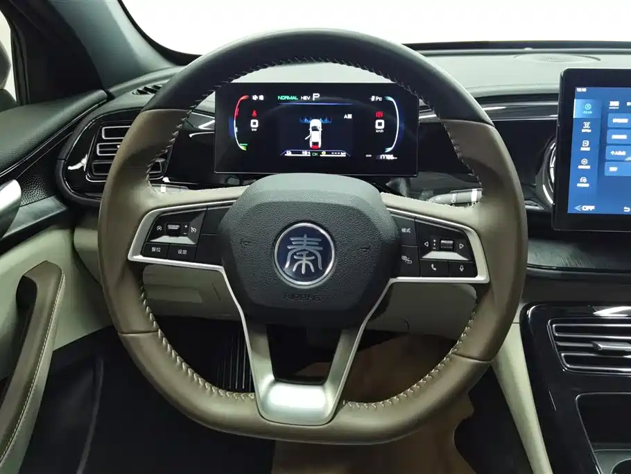 BYD Qin PLUS 2023 Champion Edition DM-i 55KM Leading фото 15
