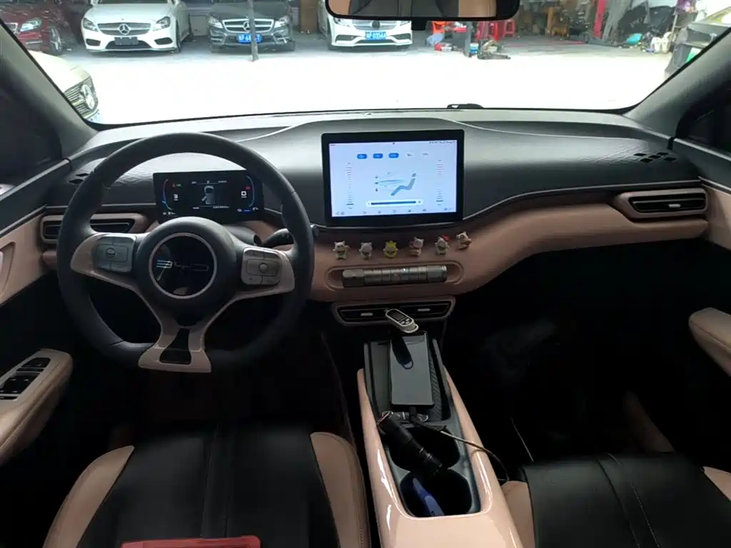BYD Seagull 2023 Vitality Edition фото 10