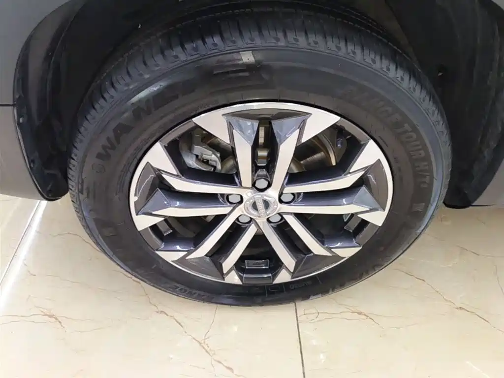 Haval Big Dog 2021 1.5T DCT 2WD Border Collie - Wangcai Edition фото 23