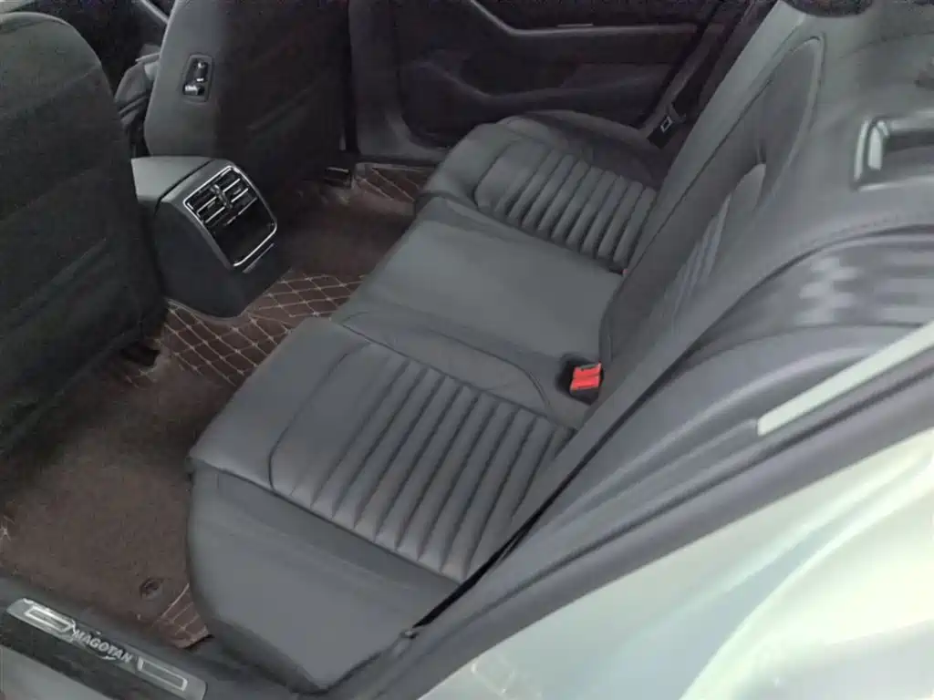 Volkswagen Magotan 2019 330TSI DSG Leading China V фото 17
