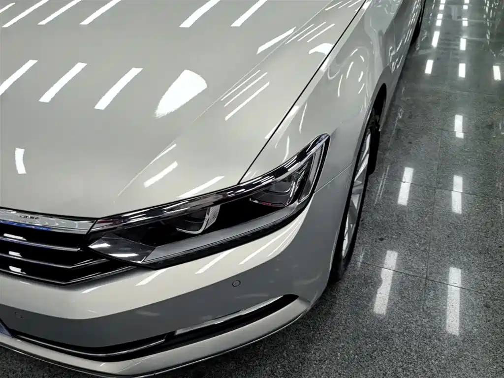 Volkswagen Magotan 2019 330TSI DSG Leading China V фото 24