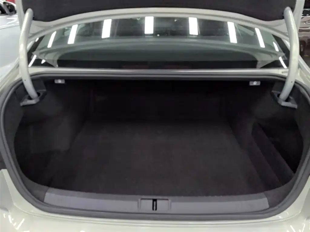 Volkswagen Magotan 2019 330TSI DSG Leading China V фото 19