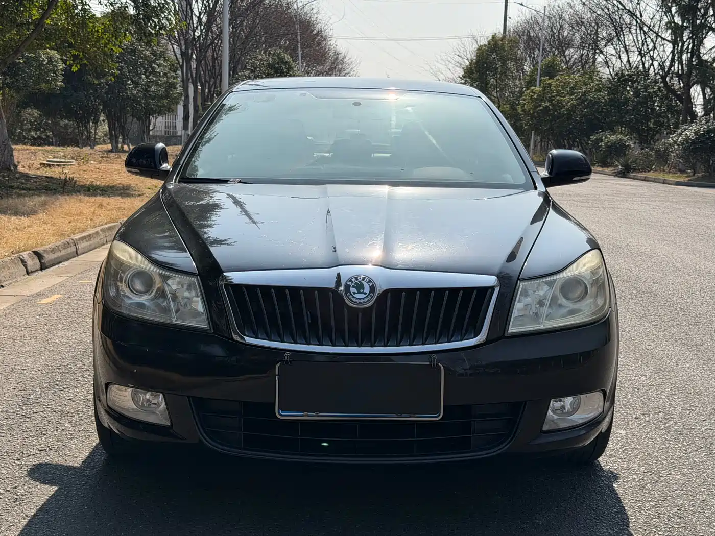 Škoda Octavia 2013 1.6L Automatic Elite Edition фото 2