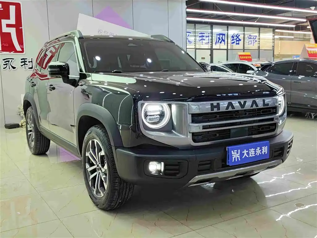 Haval Big Dog 2025 2024 1.5T DCT Border Collie Edition