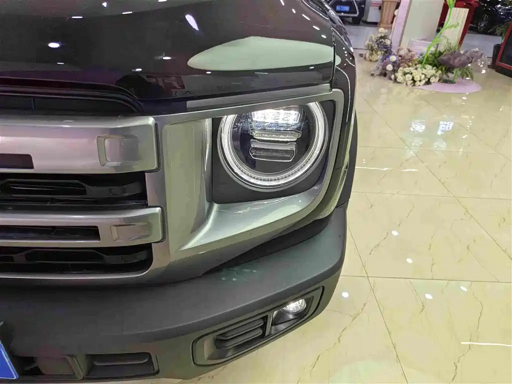 Haval Big Dog 2025 2024 1.5T DCT Border Collie Edition