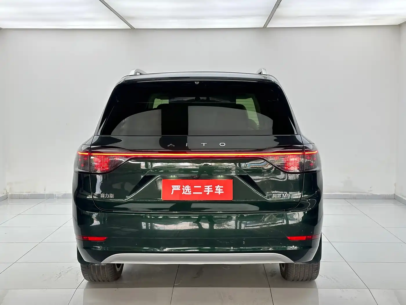 AITO Wenjie AITO M9 2024 Range Extender Ultra 52kWh 6-seater фото 8