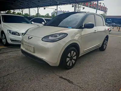 Wuling Bingo