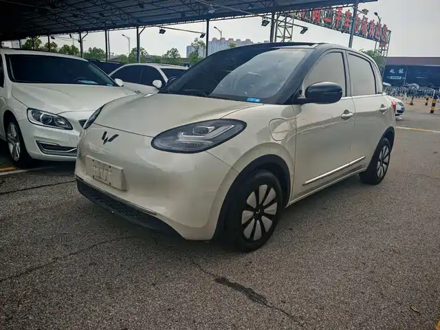 Wuling Bingo 410km, Lingxi Premium