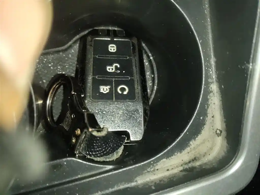 BYD Qin 2019 1.5L Automatic Luxury Edition фото 9