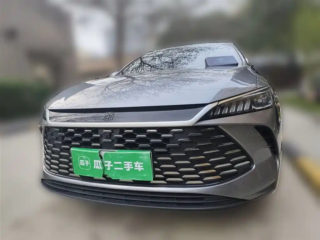 BYD Qin PLUS 2025 DM-i Smart Drive 55KM Leader фото 24