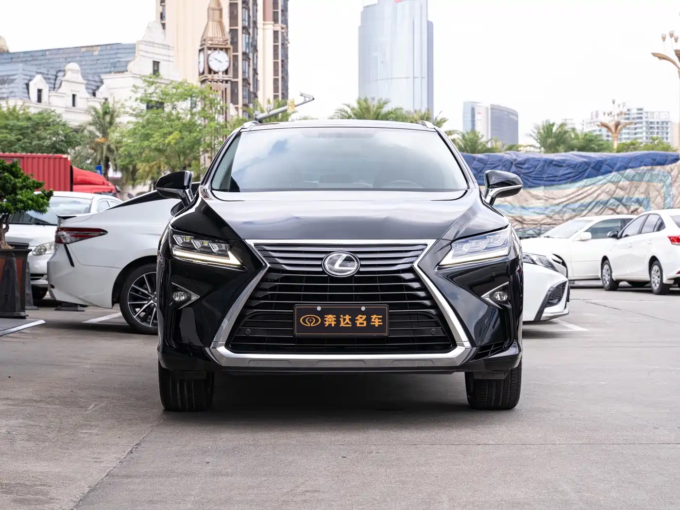Lexus RX 2016 300 4WD Elegance Edition (China V) фото 2
