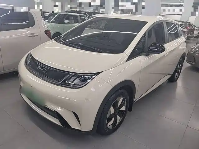 BYD Dolphin 420km, Свобода