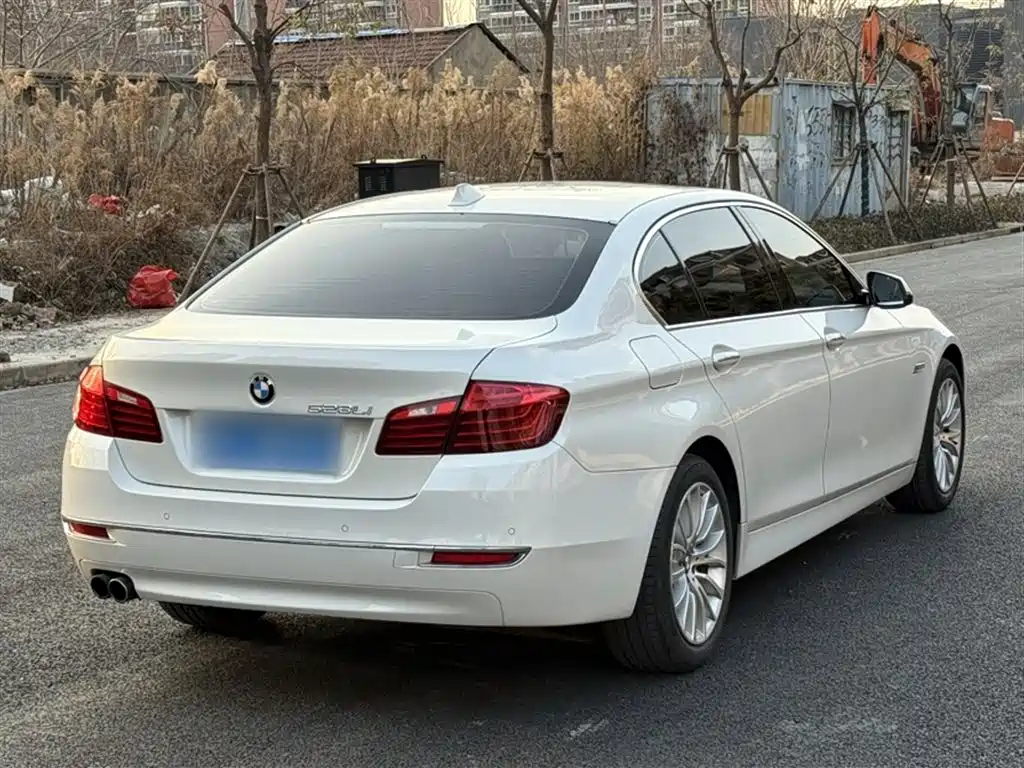 BMW 5 Series 2014 528Li Luxury Design Package фото 14