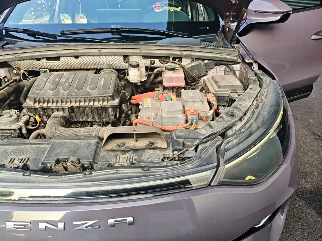 Denza X 2020 2020 Model PHEV Flagship Edition