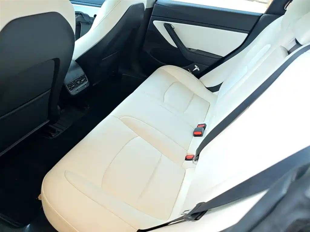 TESLA MODEL 3 (IMPORTED)