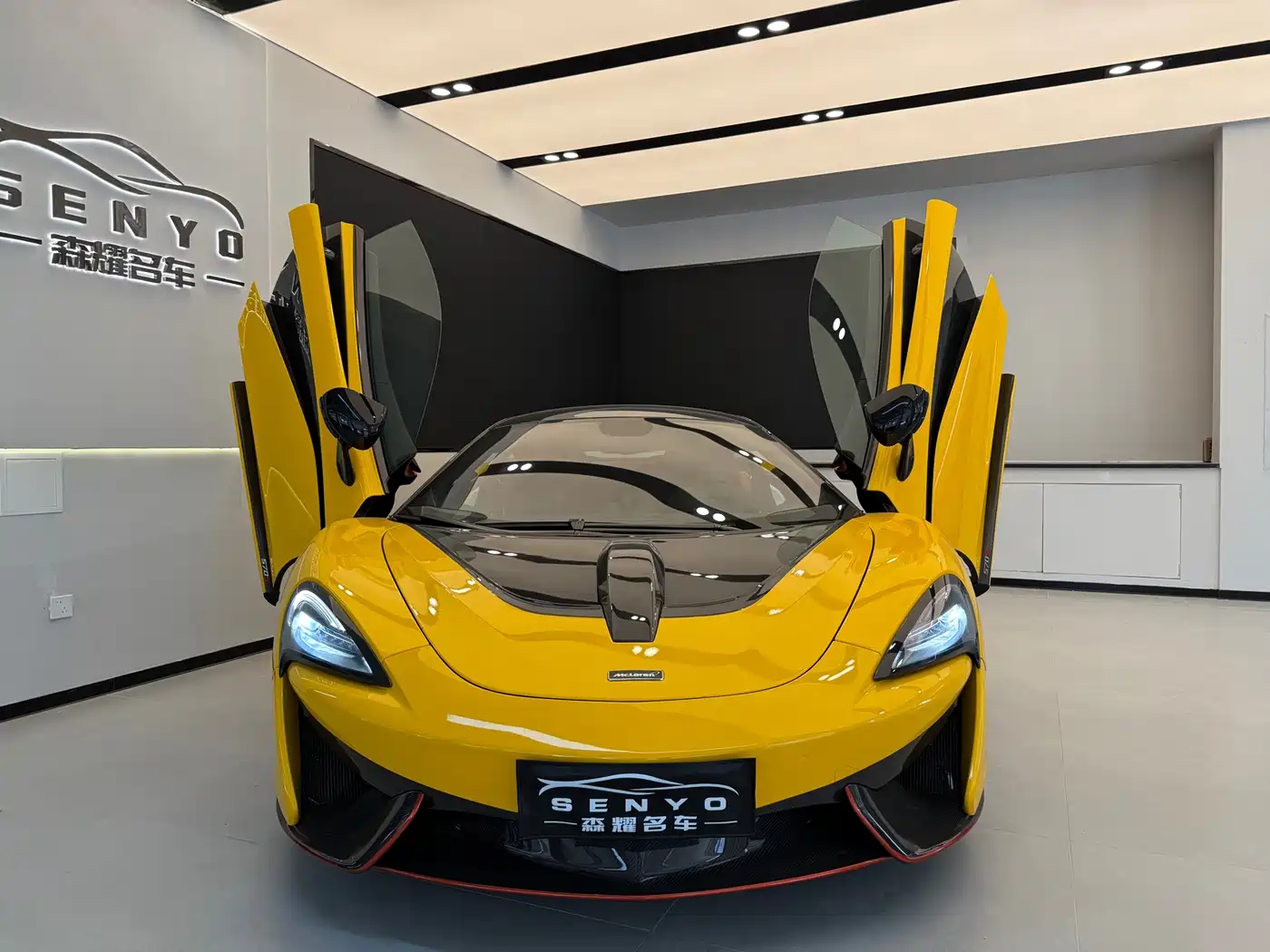 McLaren 570 2015 570S 3.8T Coupe фото 2