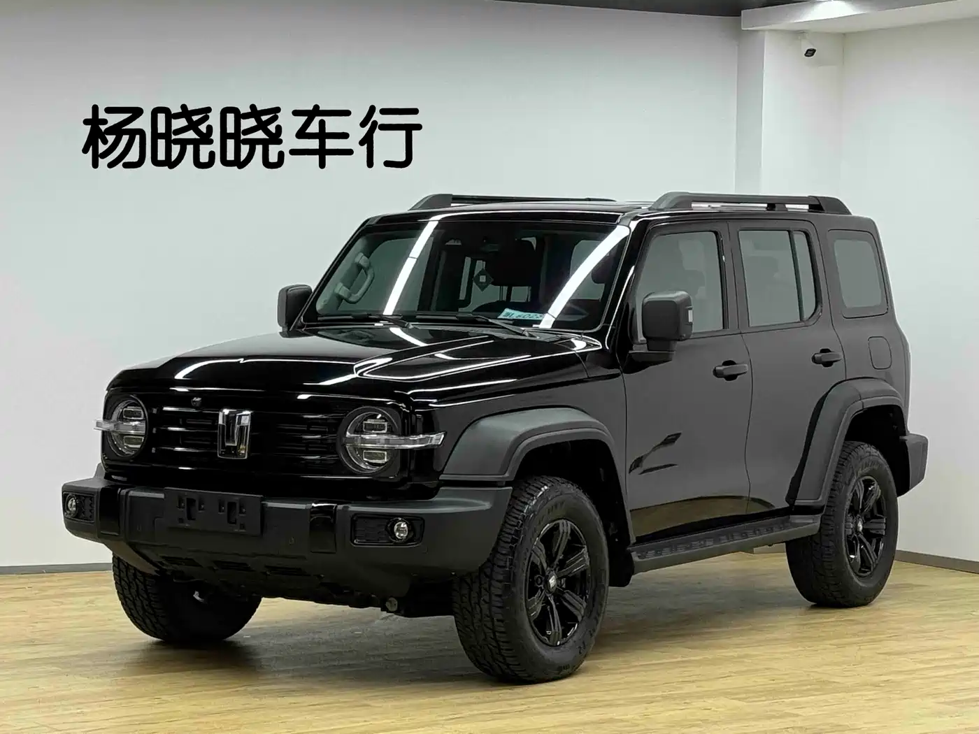 Tank 300 2021 Off-road Version 2.0T Conqueror