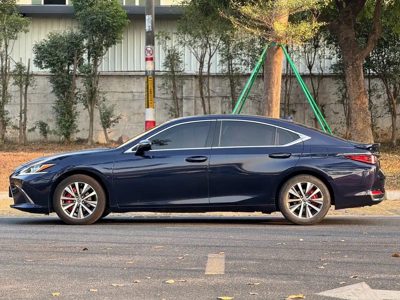 Lexus ES 2018 300h Excellence Edition China V фото 7