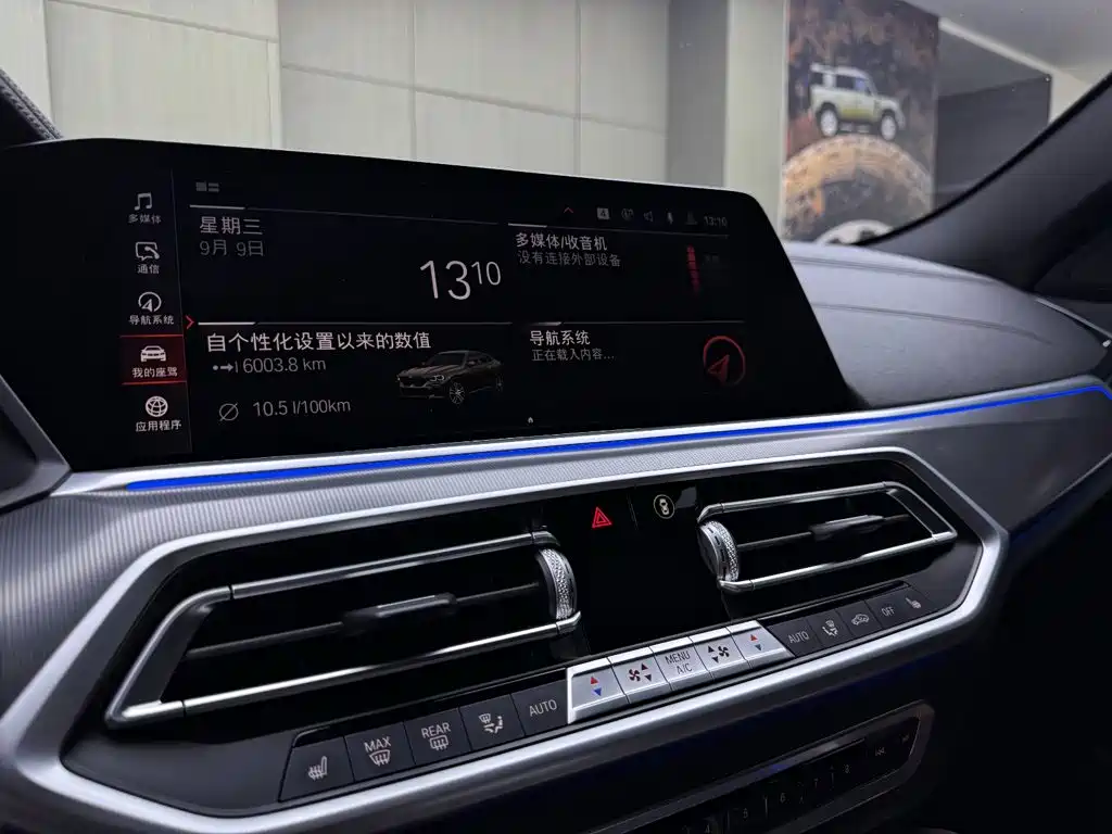 Photo 14 - BMW X6