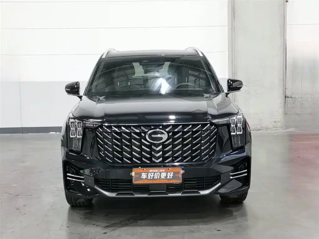 GAC Trumpchi Trumpchi GS8 2025 Pilot Series 2.0TGDI AWD Luxury Edition 5-Seater фото 3