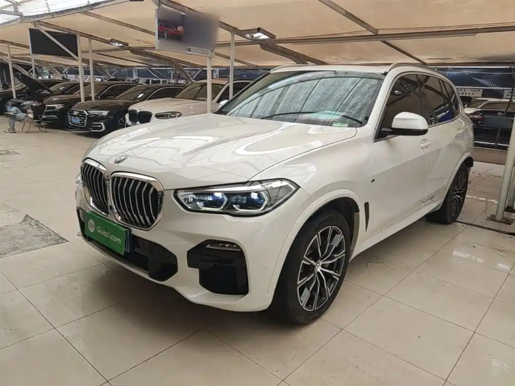 BMW X5 (Import) 2019 xDrive40i M Sport Package фото 2