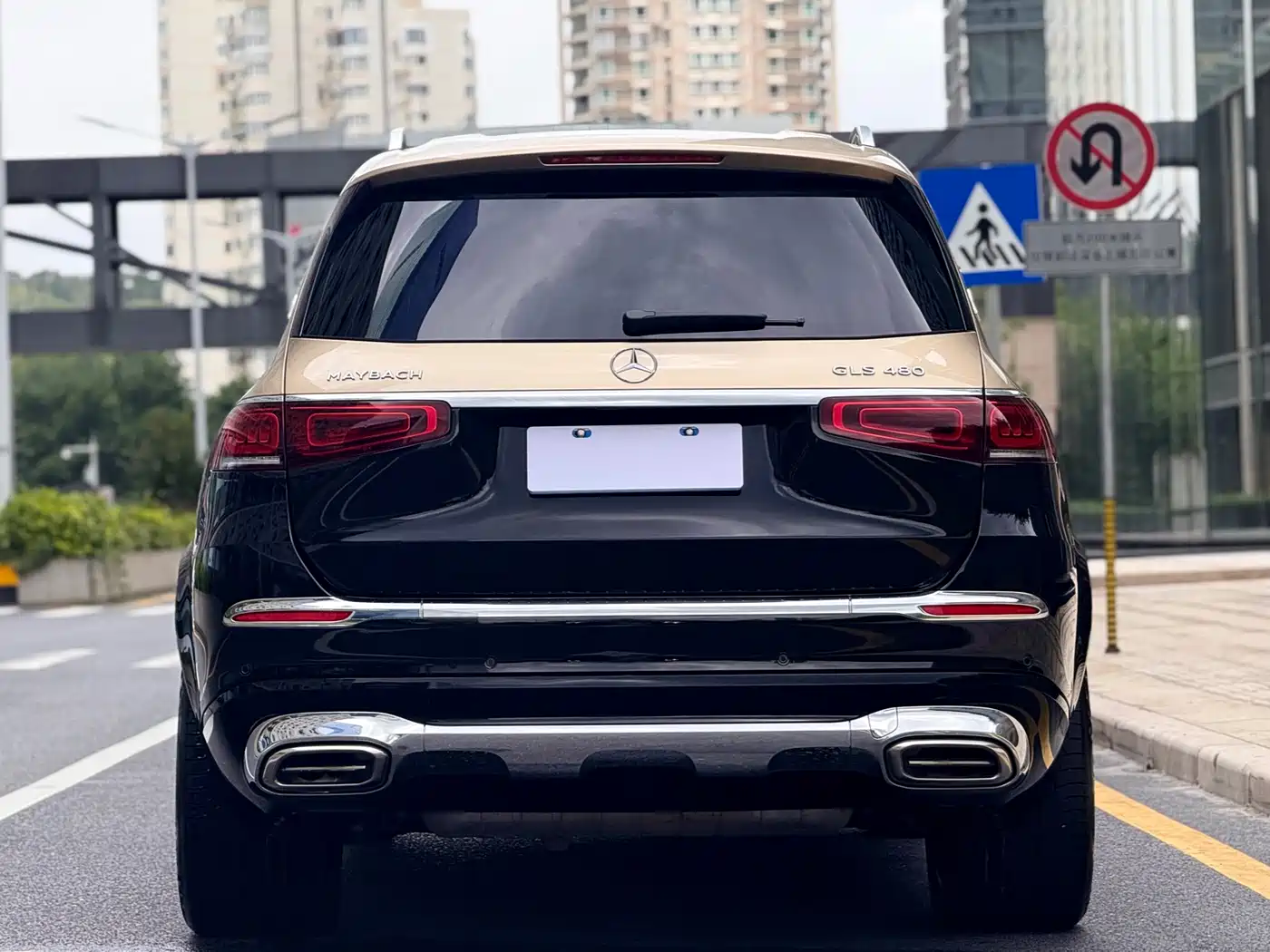 Mercedes-Benz Maybach GLS 2022 GLS 480 4MATIC фото 7