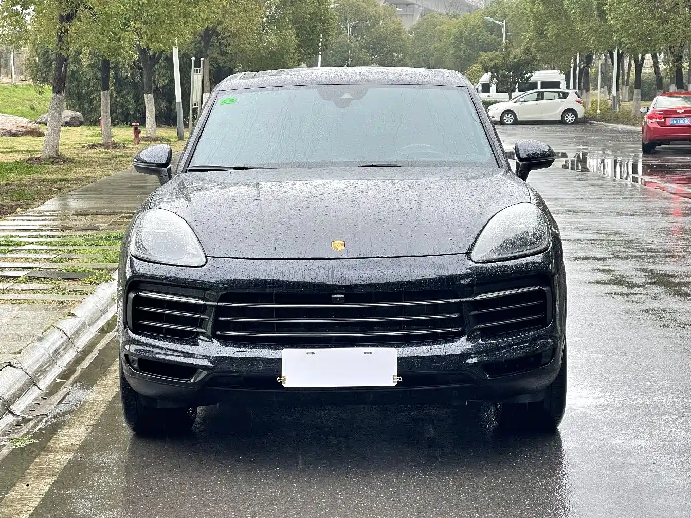 Porsche Cayenne 2023 Cayenne 3.0T Platinum Edition фото 3