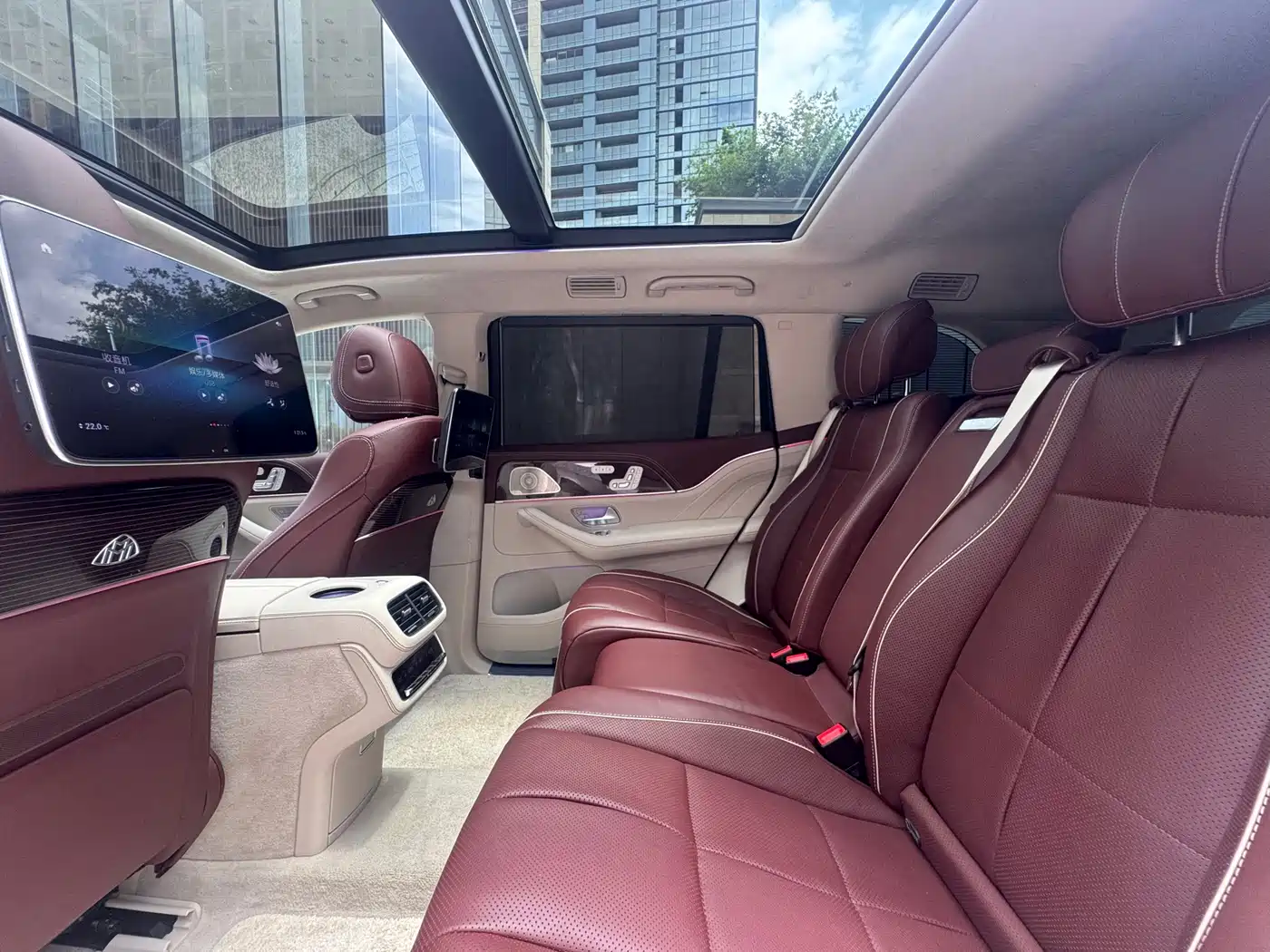Mercedes-Benz Maybach GLS 2022 GLS 480 4MATIC фото 24