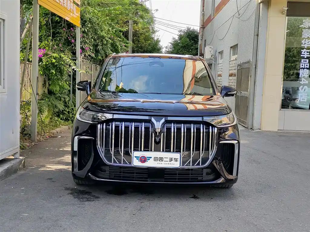Voyah Auto Voyah Dreamer 2024 PHEV Extended Range Premium Edition фото 2