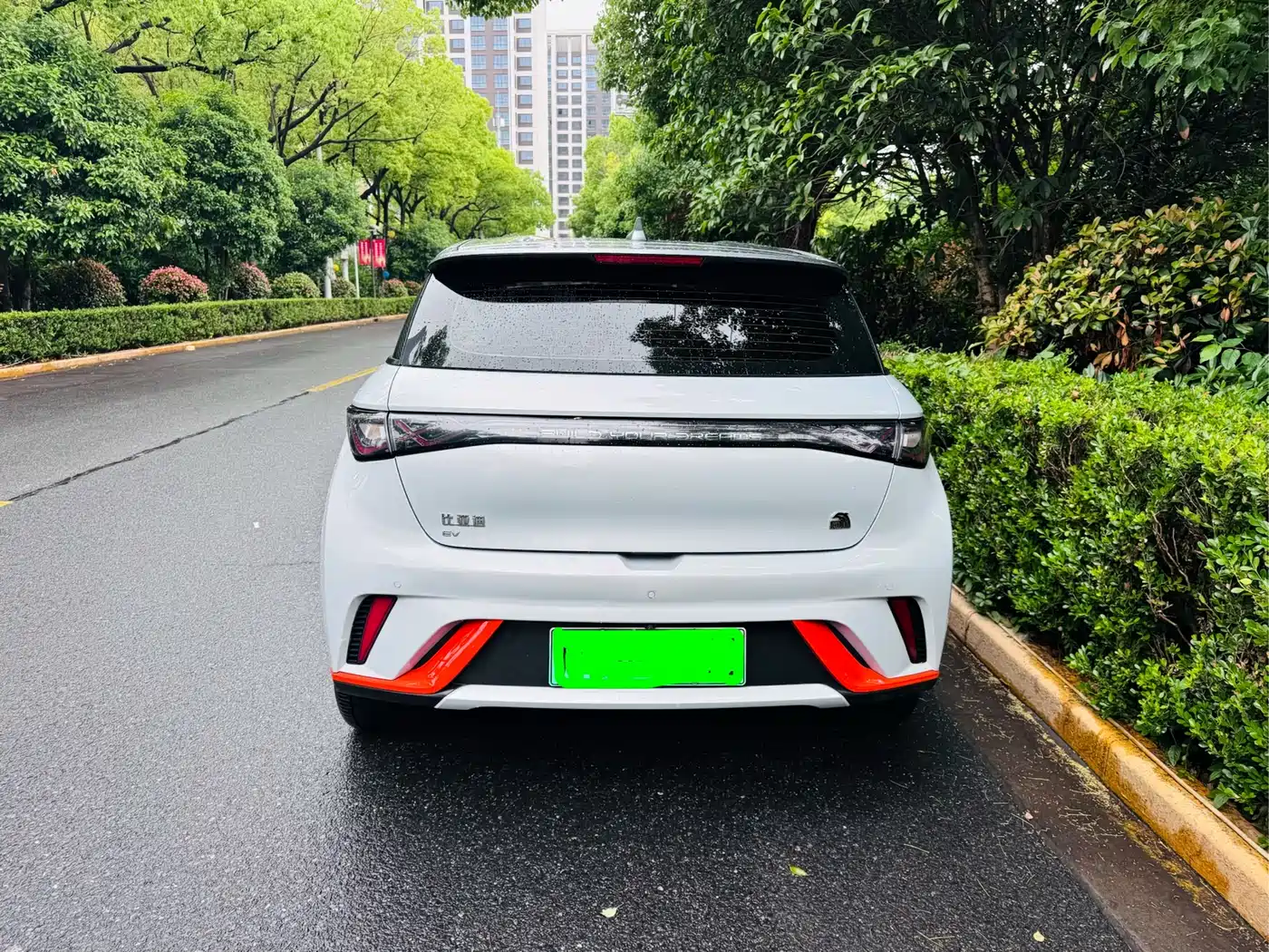 BYD Dolphin 2023 420km Freedom Edition фото 13