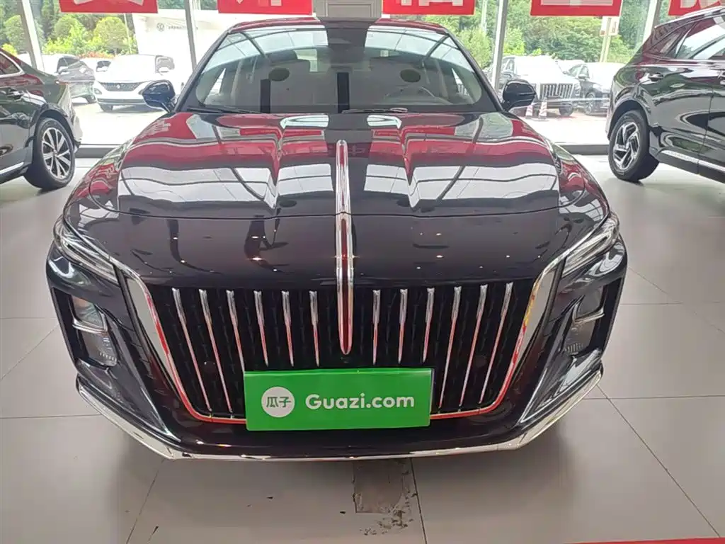 Hongqi H5 2024 2.0T Automatic Smart Connect Flag Leader Edition фото 3