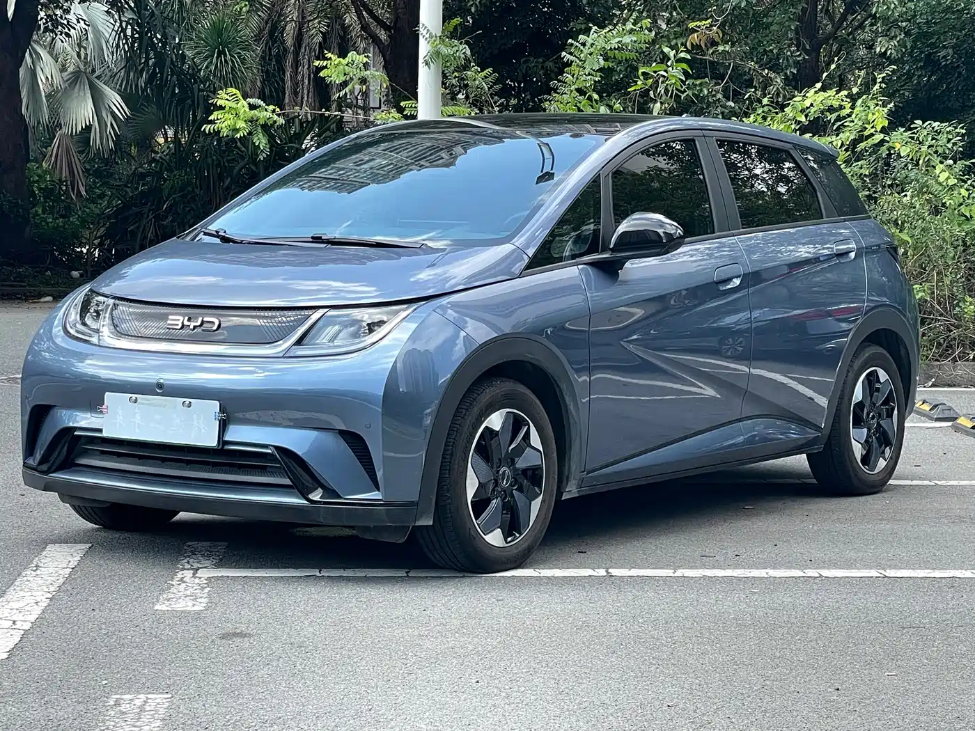 BYD Dolphin 2024 Glory Edition 420km Fashion Edition