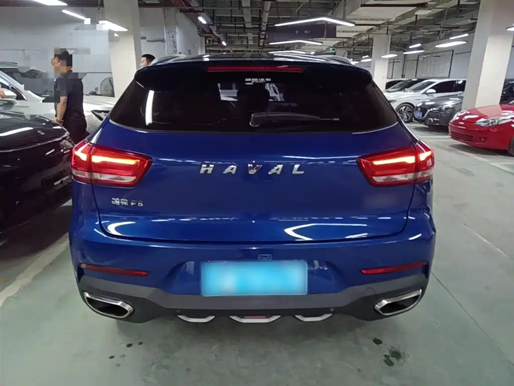 Haval F5 2019 National Trend Edition 1.5T iTrend China VI фото 6