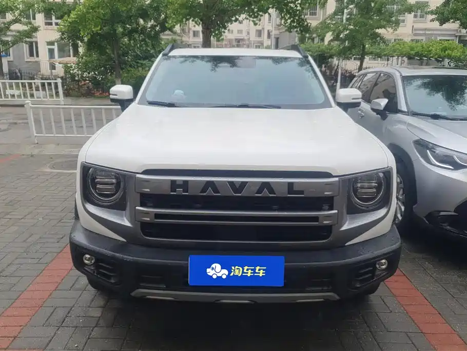 Haval Big Dog 2024 1.5T DCT Border Collie Edition фото 2
