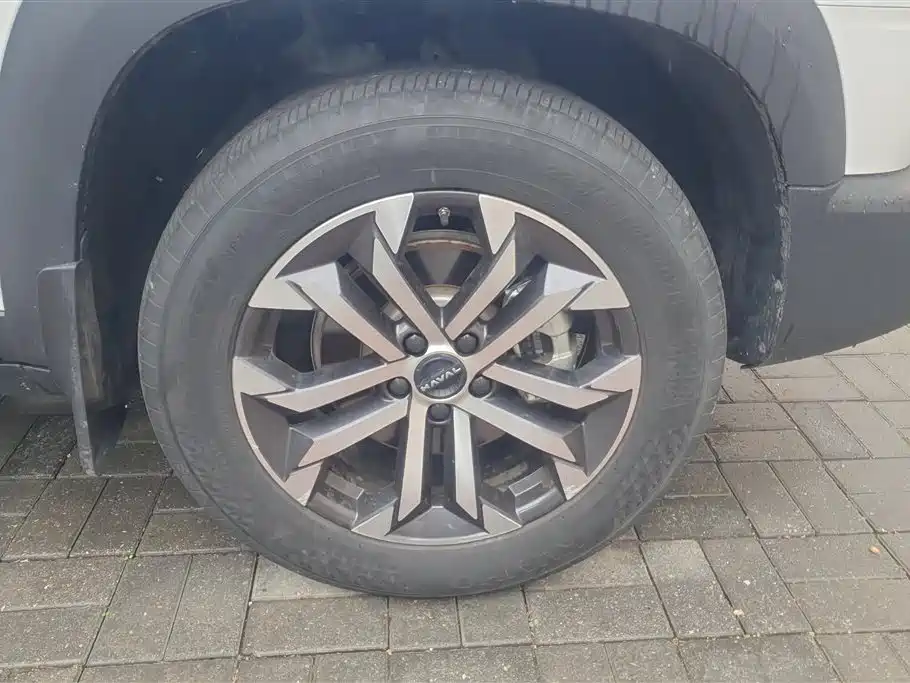 Haval Big Dog 2024 1.5T DCT Border Collie Edition фото 6