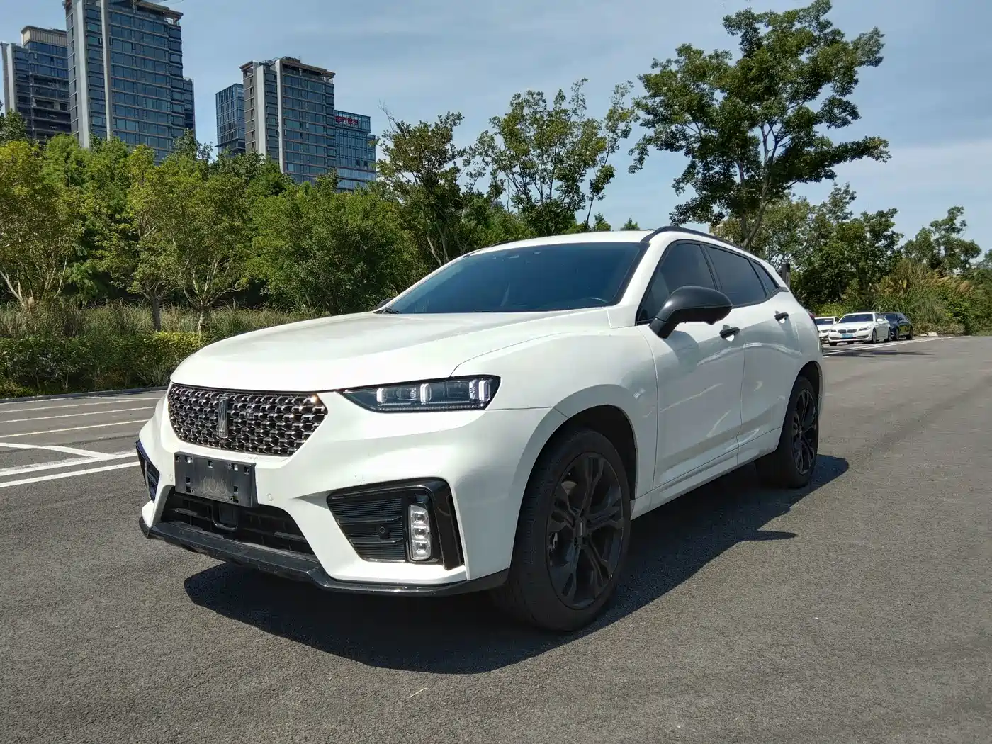 WEY VV7 2020 2020 Model 2.0T Flagship