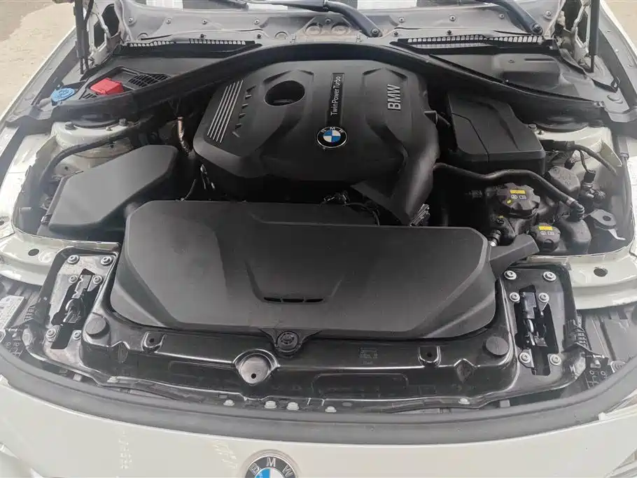 BMW 3 Series 2019 320Li Fashion Type фото 10