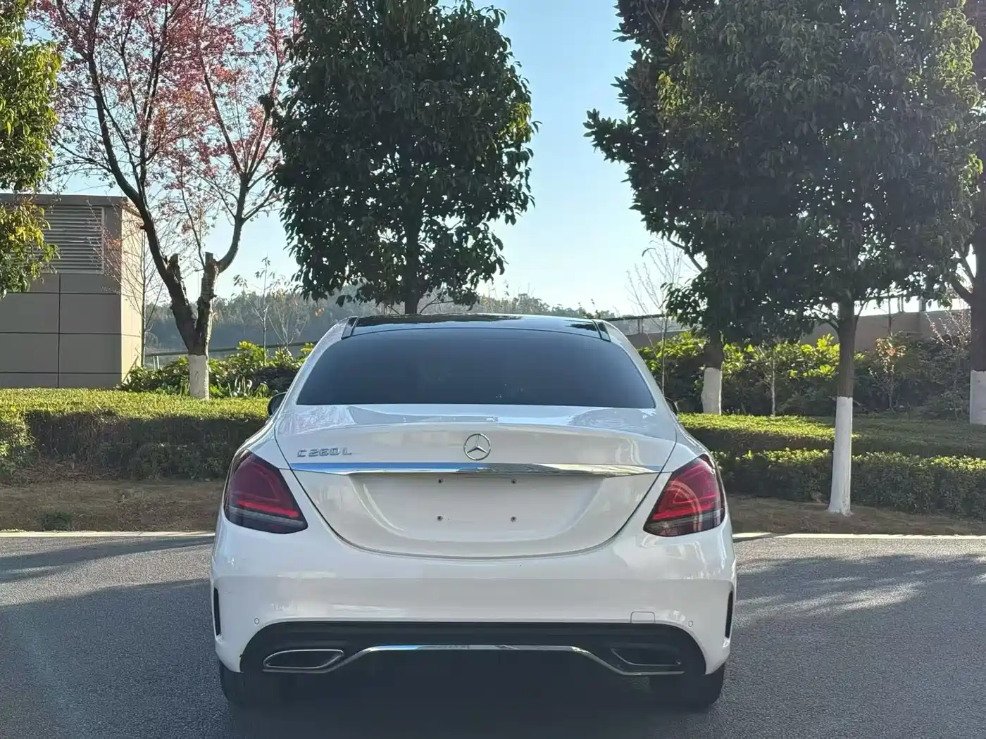 Mercedes-Benz C-Class 2020 C 260 L Sport фото 8