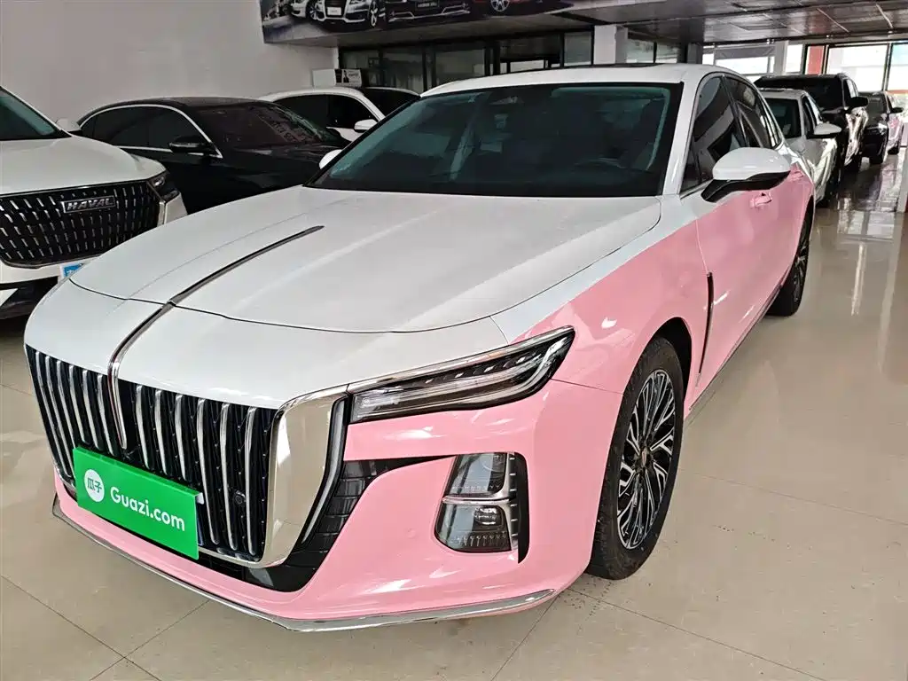 Hongqi H5 2023 2.0T Auto Smart Connect Flag Comfort