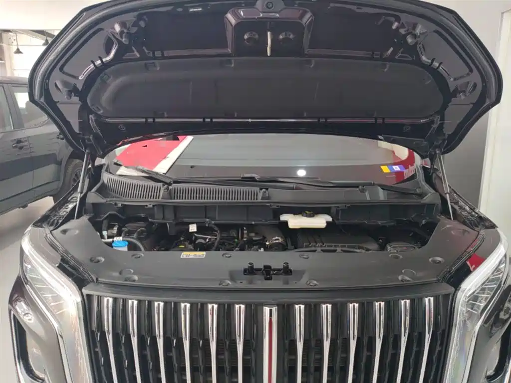 Hongqi HQ9 PHEV 2024 Model 2.0T AWD Luxury Edition фото 16