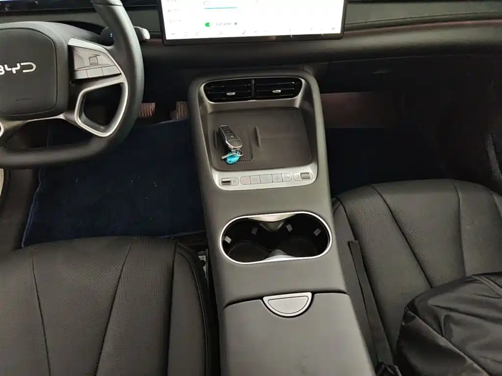 BYD Sealion 06 New Energy 2025 DM-i 170 Pilot Pro Edition фото 14